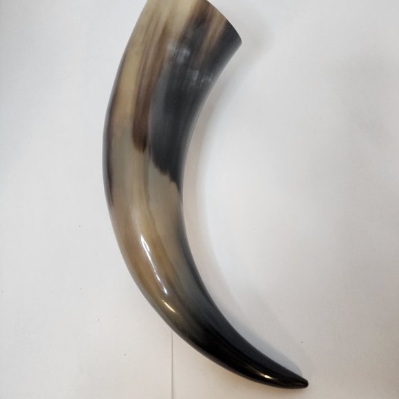 Water Buffalo Horn average 12-15 inch - Picture 9 of 11